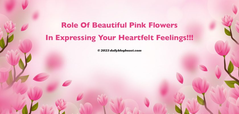 role of beautiful pink flowers in expressing your heartfelt feelings