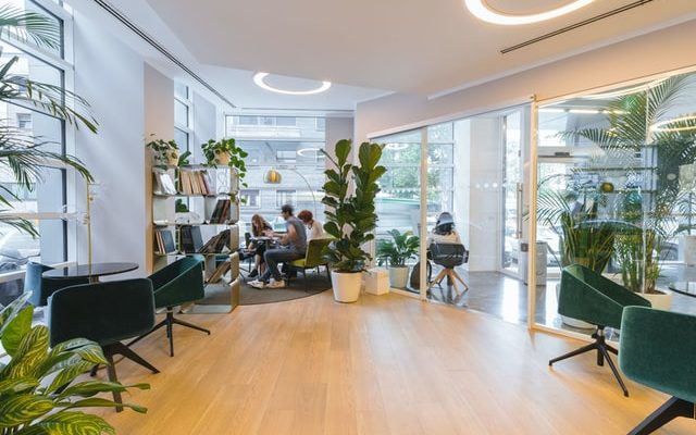 A bright office with many plants and a team of people working in the corner next to a large window
