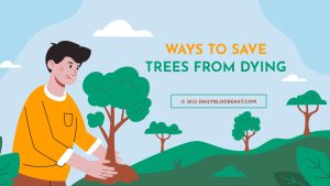 ways to save trees from dying