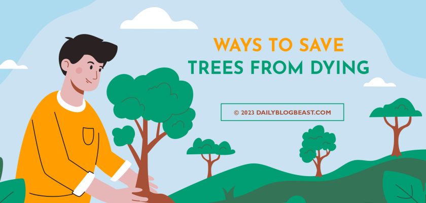 ways to save trees from dying